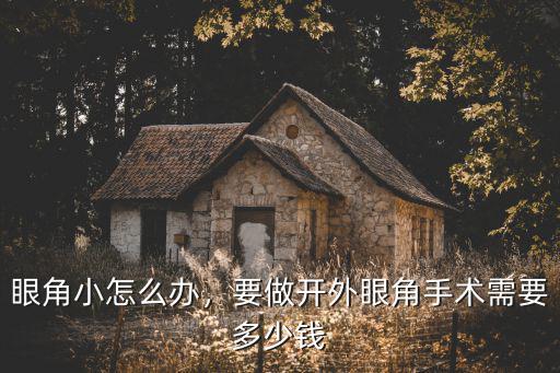 眼角小怎么辦，要做開外眼角手術需要多少錢