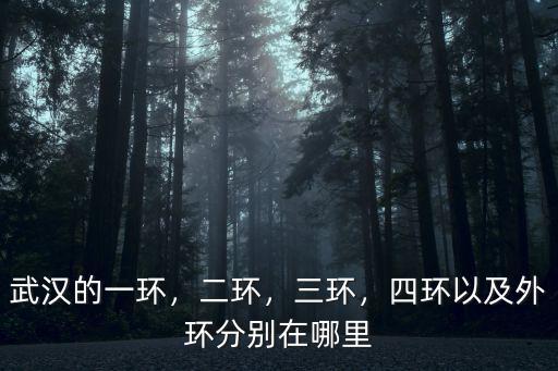 武漢的一環(huán)，二環(huán)，三環(huán)，四環(huán)以及外環(huán)分別在哪里