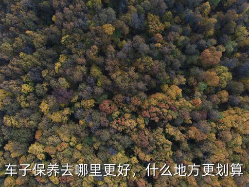 駐馬店保養(yǎng)車哪里便宜,車子保養(yǎng)去哪里更好