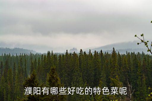 濮陽市最好吃的羊肉在哪里,濮陽最好吃的餐館有哪些