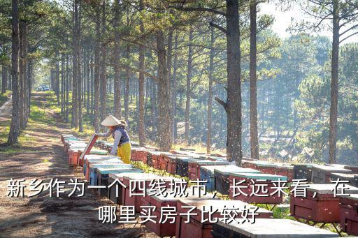 新鄉作為一個四線城市，長遠來看，在哪里買房子比較好