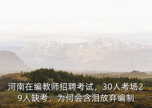 河南大專教師編制待遇怎么樣,現在大專老師待遇怎么樣