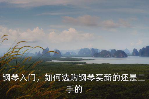 周口初學(xué)者買鋼琴怎么選,初學(xué)者該怎樣挑選鋼琴