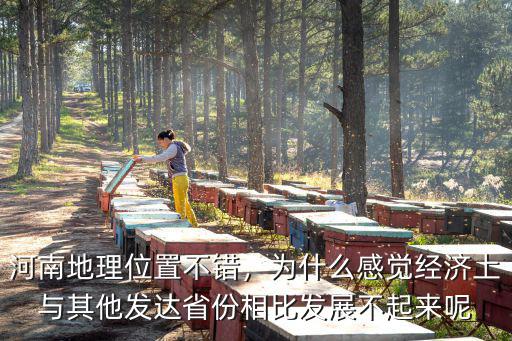 河南地理位置不錯(cuò)，為什么感覺(jué)經(jīng)濟(jì)上與其他發(fā)達(dá)省份相比發(fā)展不起來(lái)呢