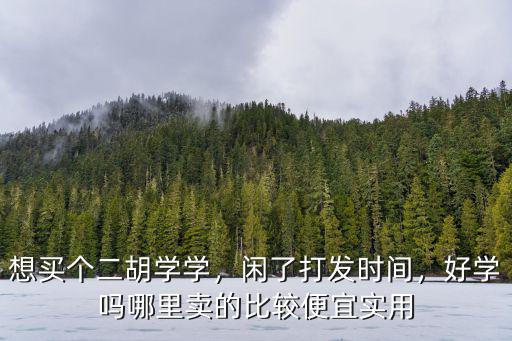 想買個二胡學學，閑了打發(fā)時間，好學嗎哪里賣的比較便宜實用