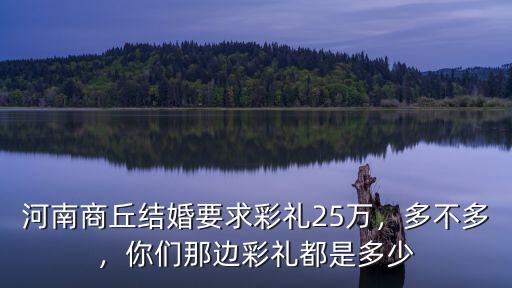 河南商丘結婚要求彩禮25萬，多不多，你們那邊彩禮都是多少