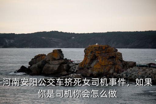 河南安陽公交車擠死女司機事件，如果你是司機你會怎么做