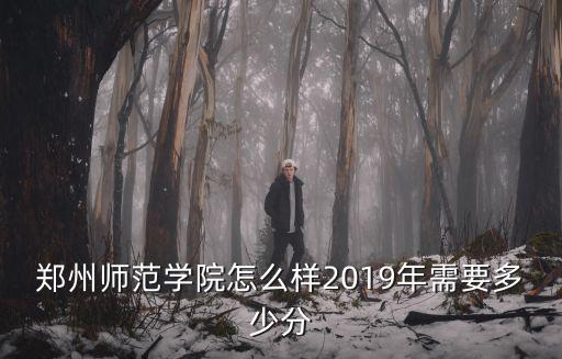 鄭州師范學院怎么樣2019年需要多少分