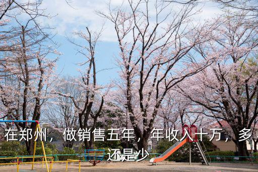 在鄭州，做銷售五年，年收入十萬，多還是少