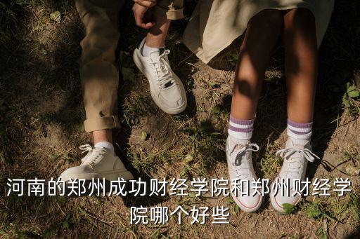 鄭州財經學院總體怎么樣,河南財經政法大學怎么樣