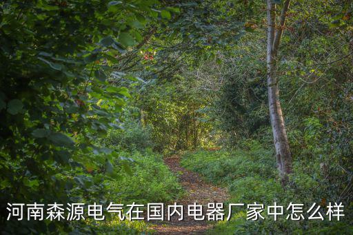 河南天川電氣公司怎么樣,河南森源電氣的產品怎么樣