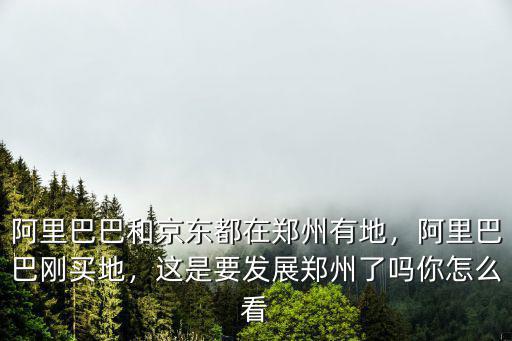 阿里巴巴在鄭州建到哪里了,阿里巴巴和京東都在鄭州有地