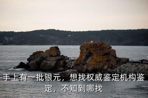 手上有一批銀元，想找權威鑒定機構鑒定，不知到哪找