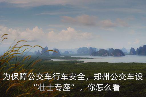 為保障公交車行車安全，鄭州公交車設“壯士專座”，你怎么看