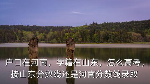 怎么在河南投檔,河南的提前批錄取