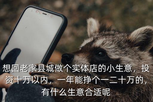 想回老家縣城做個實體店的小生意，投資十萬以內，一年能掙個一二十萬的，有什么生意合適呢