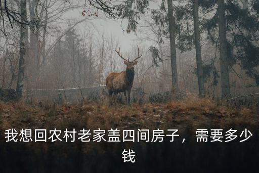 許昌哪里有賣農村四間房子,老家農村有四間地皮