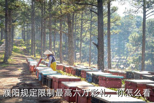 頭條怎么看濮陽的新聞,濮陽濮北新區的發展你怎么看