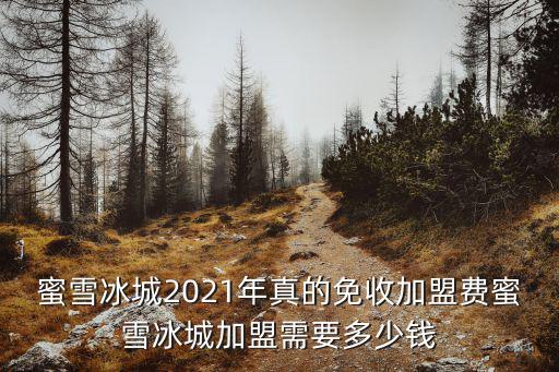 許昌蜜雪冰城加盟費多少錢,蜜雪冰城加盟費多少錢