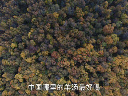 開封羊雜湯哪里最好喝,中國哪里的羊湯最好喝