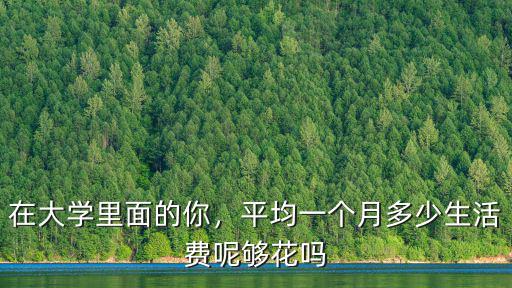 在大學里面的你，平均一個月多少生活費呢夠花嗎
