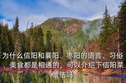 為什么信陽(yáng)和襄陽(yáng)、棗陽(yáng)的語(yǔ)言、習(xí)俗、美食都是相通的，可以介紹下信陽(yáng)菜做法嗎