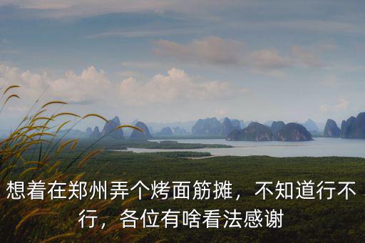 想著在鄭州弄個(gè)烤面筋攤，不知道行不行，各位有啥看法感謝