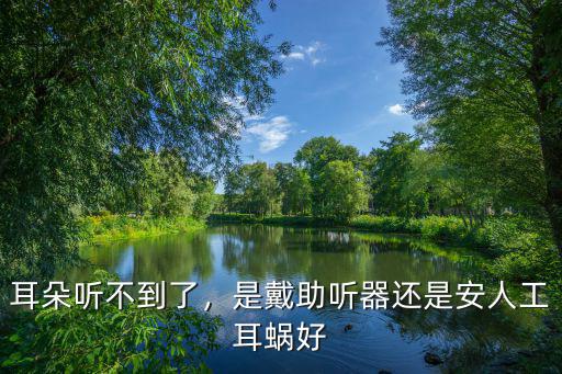 安陽安耳朵助聽器在哪里,老年人耳內助聽器在哪里買好
