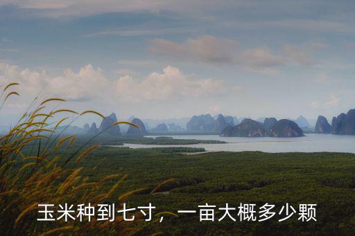 駐馬店地區(qū)玉米一畝播多少種子,甜玉米每畝用多少種子
