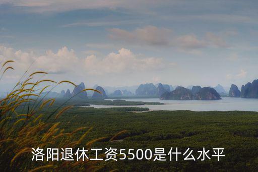 洛陽隆華工資一般是多少,老人退休工資平均水平是多少