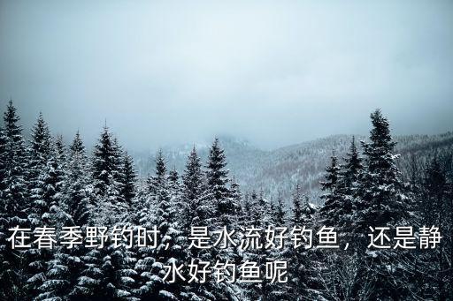 南陽早春釣魚哪里好,是水流好釣魚
