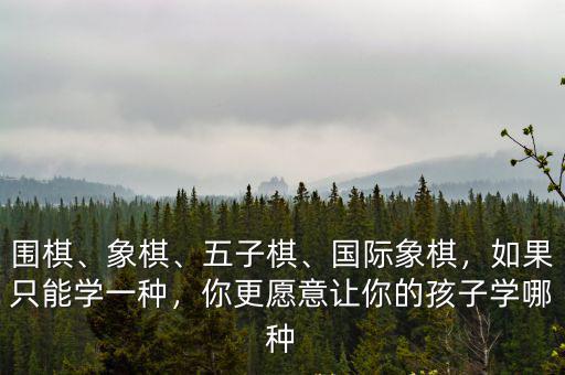 洛陽國際象棋哪里學,如果只能學一種