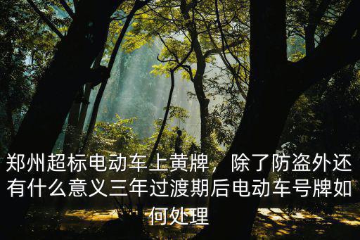 鄭州超標電動車上黃牌，除了防盜外還有什么意義三年過渡期后電動車號牌如何處理