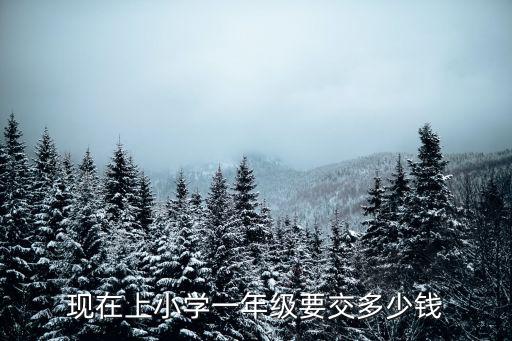 濮陽市上小學一年多少錢,現在上小學一年級要交多少錢