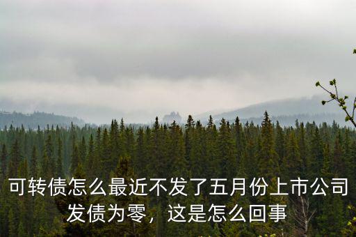 河南省發債怎么回事,這是怎么回事