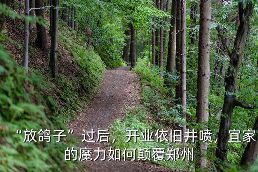 “放鴿子”過后，開業(yè)依舊井噴，宜家的魔力如何顛覆鄭州