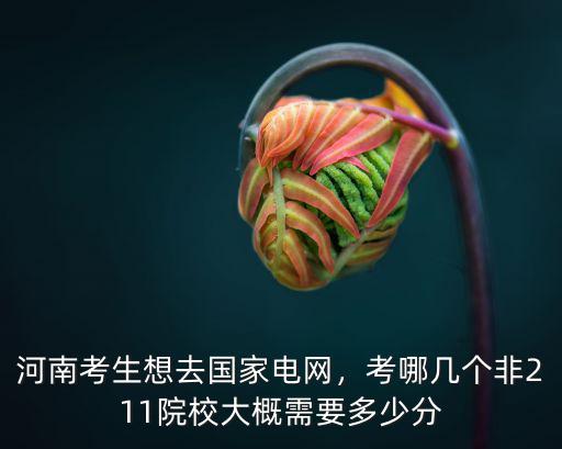 河南考生想去國家電網(wǎng)，考哪幾個非211院校大概需要多少分