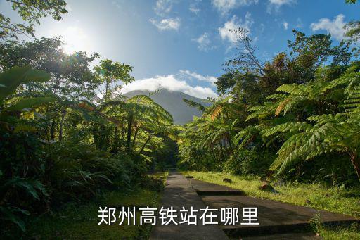 鄭州高鐵商務(wù)區(qū)在哪里,寶能在河南鄭州有啥項目