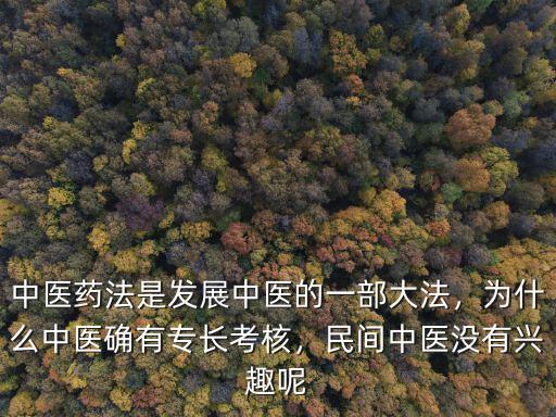河南中醫確有專長怎么報名,中醫確有專長如何參加考試