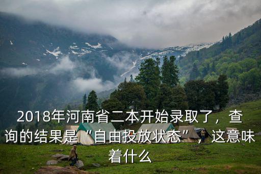 河南二本怎么查詢投檔狀態,河南本科二批投檔已可查