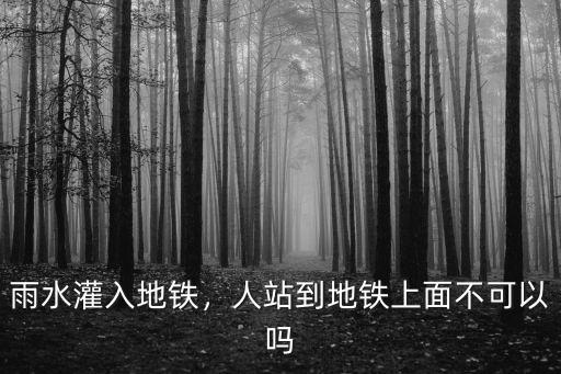 河南地鐵進水怎么不開門,鄭州地鐵進水受困