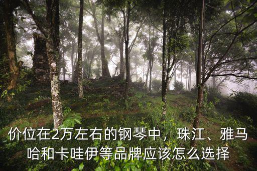 新鄉雅馬哈和卡哇伊鋼琴怎么樣,賽樂爾鋼琴怎么樣