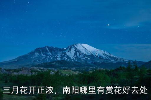南陽(yáng)哪里有免費(fèi)看花,南陽(yáng)有哪些春天賞花好地方