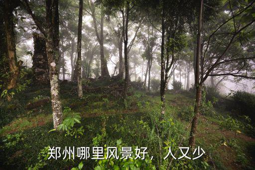 鄭州高新區(qū)秋天風(fēng)景哪里好看,鄭州哪里風(fēng)景好
