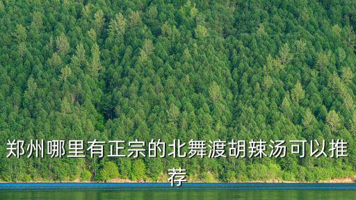 鄭州哪里有正宗的北舞渡胡辣湯可以推薦