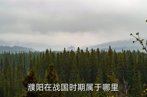 濮陽哪里著火啦,濮陽一小吃店深夜著火
