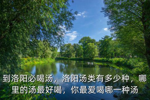 到洛陽必喝湯，洛陽湯類有多少種，哪里的湯最好喝，你最愛喝哪一種湯