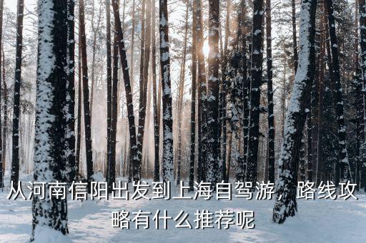 信陽怎么來上海,現在回上海需要什么