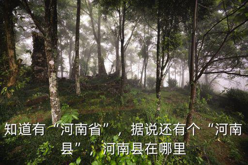 知道有“河南省”，據說還有個“河南縣”，河南縣在哪里