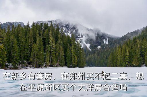 鄭州平原新區樓房均價是多少,對于新鄉市平原新區的房子